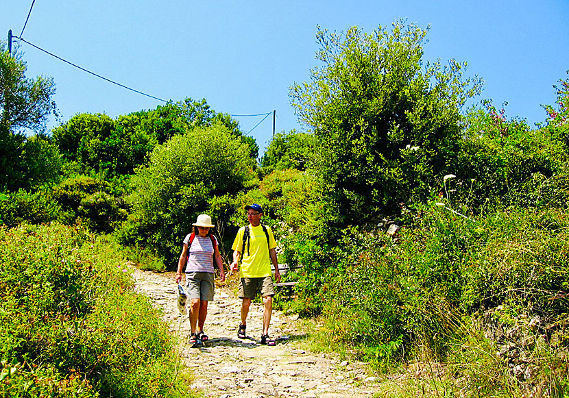 Missa inte den trevliga vandringen mellan byarna Chora och Patitiri när du reser till ön Alonissos.