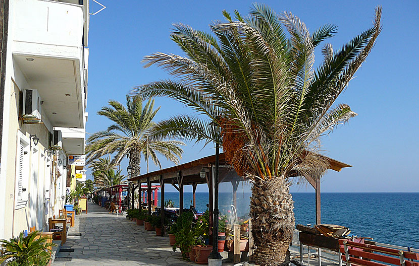 Den mysiga strandpromenaden i Mirtos på södra Kreta.