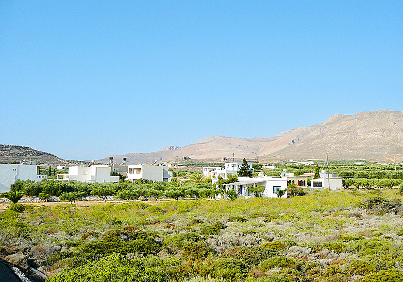 Xerokambos på östra Kreta ligger utspridd i ett låglandskap med många olivträd.