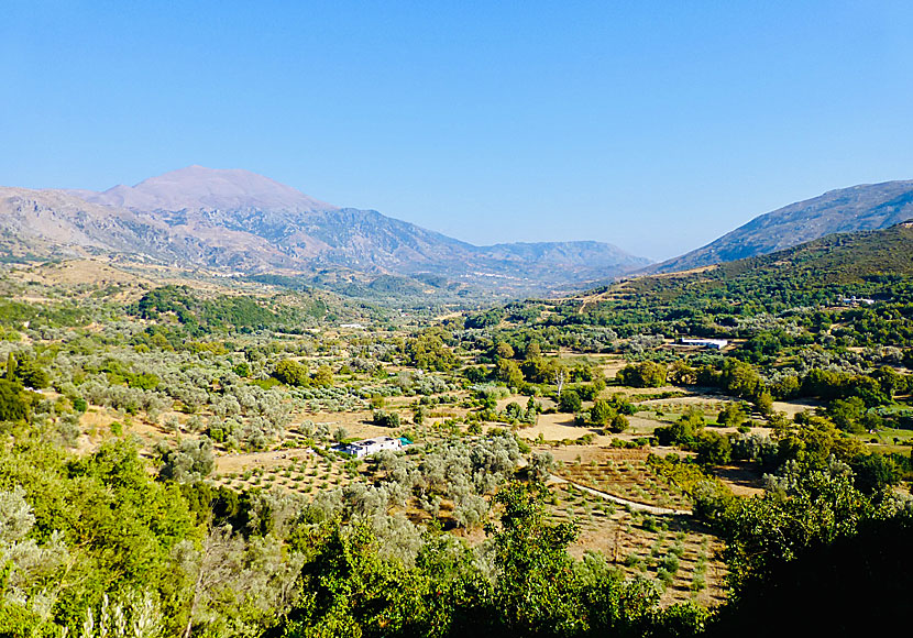 Missa inte en utflykt till vackra Amaridalen när du reser till Rethymnon på Kreta.
