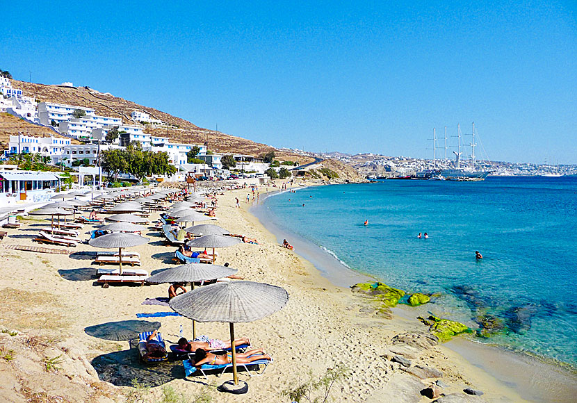Stränderna Tourlos och Agios Stefanos ligger bara några kilometer från Mykonos stad.