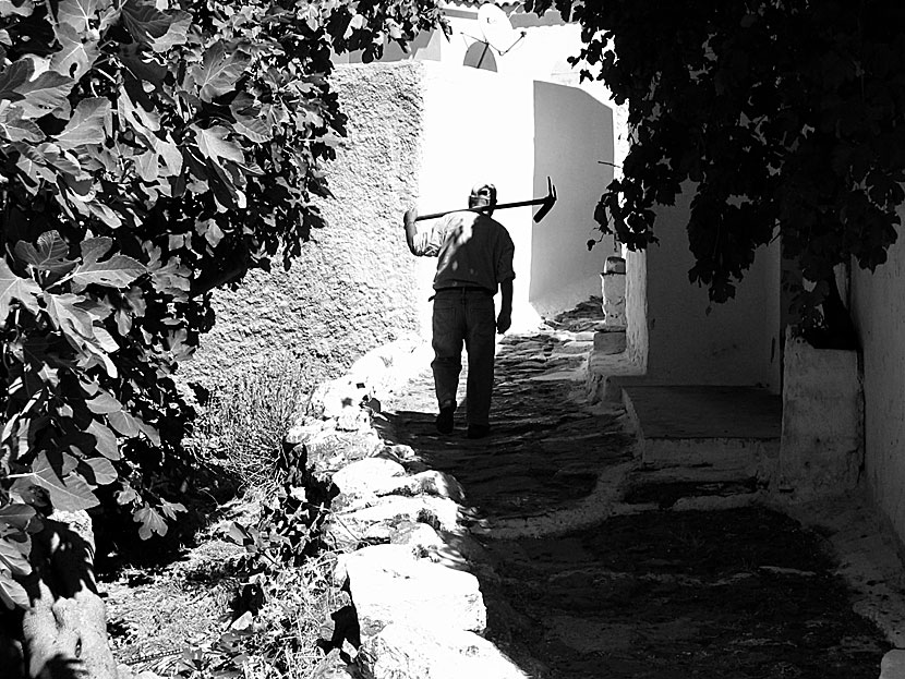 Gamla bilder från byn Panagia på Serifos.