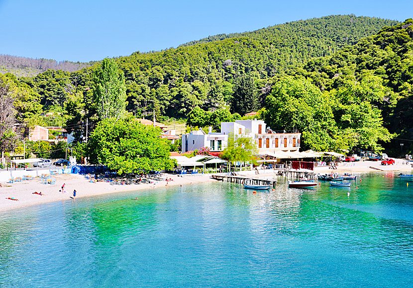 Missa inte byns och stranden i Agnontas när du reser till Skopelos.