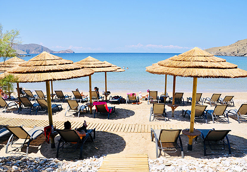 Hyra solstolar, solsängar och parasoll på Delfini beach.