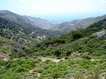 Vy över bergen mot Naxos västkust.