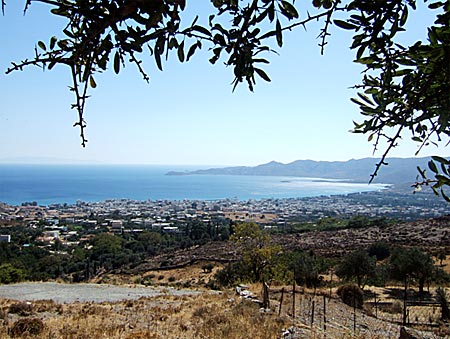 Utsikt over Karistos fra rasteplassen under oliventreet.