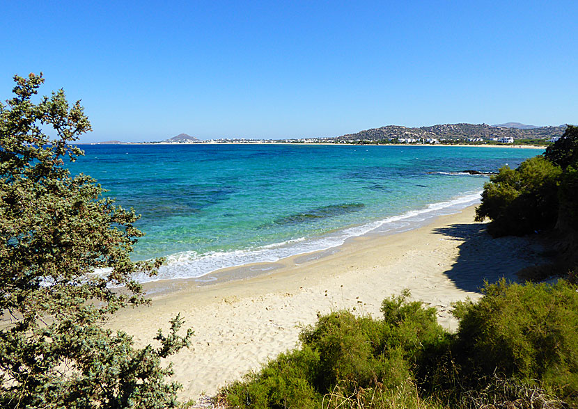 Orkos beach på Naxos.
