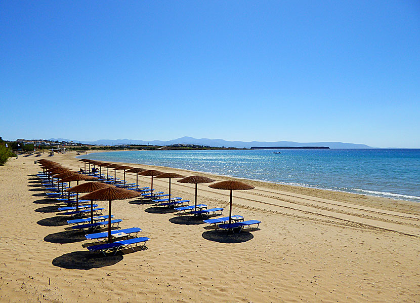 Golden beach på Paros.