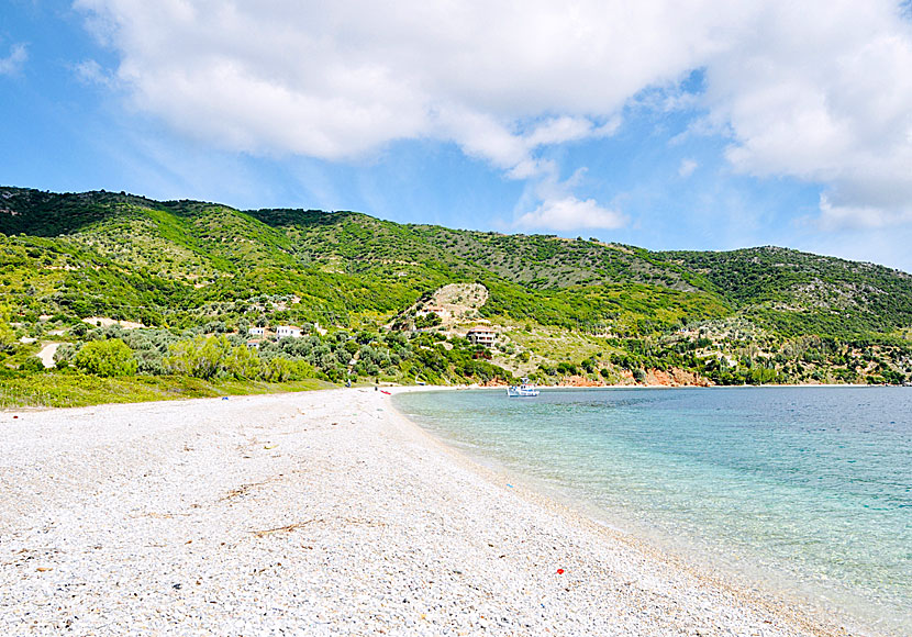 Stranden Agios Dimitrios beach på Alonissos.