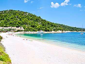 Leftos Gialos  beach på Alonissos.