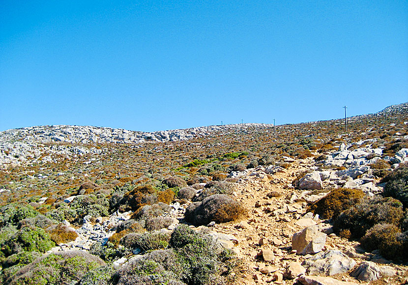 Vandringen från Chora till toppen av berget Profitis Elias tar cirka en timme enkel väg.
