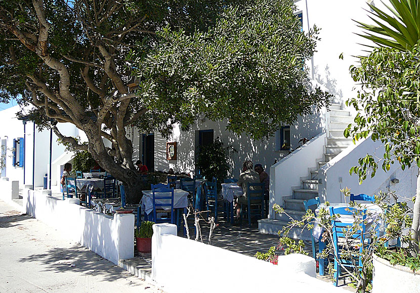 Taverna Marouso i Arkesini på Amorgos.