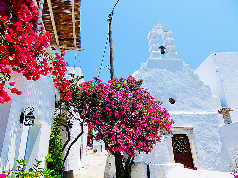 Vackra kyrkor och kapell i Chora på Amorgos.