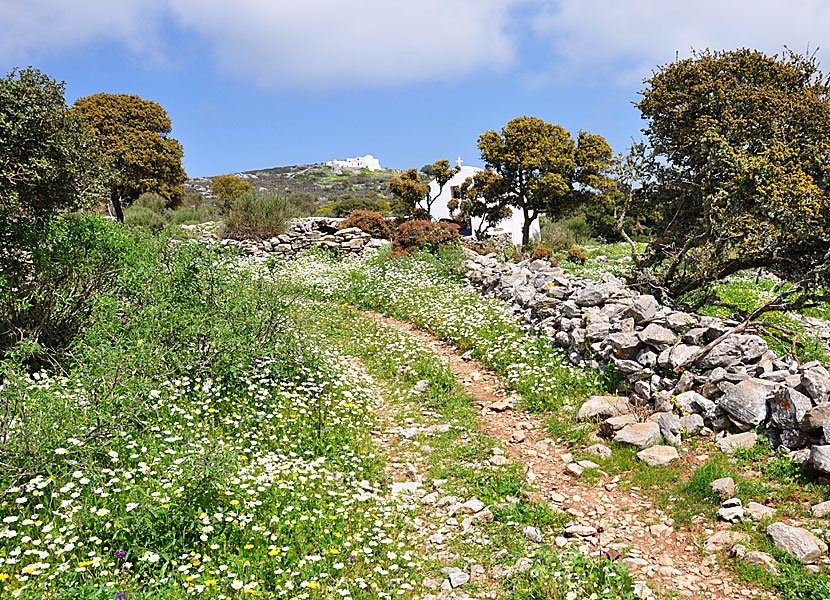 Vandringen mellan Langada och Agios Theologos på Amorgos.
