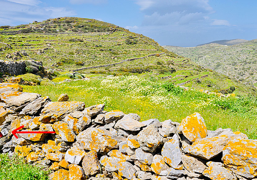 Vandra mellan Chora och Katapola på Amorgos.