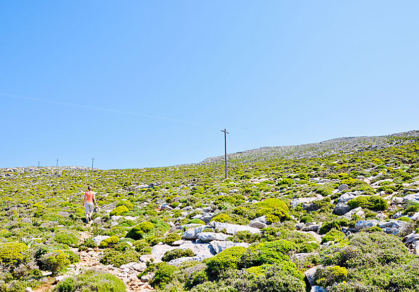 Ta med mycket vatten och ha bra vandringskängor när du vandrar i bergen på Amorgos.