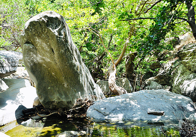 Vandringen till Pithara Waterfalls går genom ett sagolikt vackert och trolskt landskap.