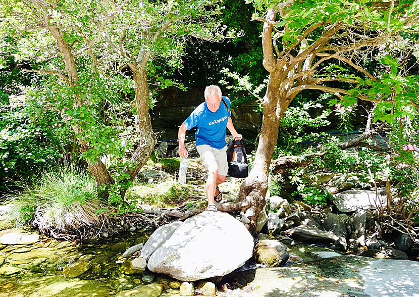 Vandra till Pithara Waterfalls på Andros.