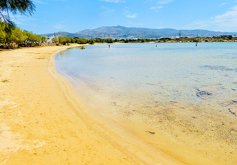 Agios Spiridonas beach är perfekt för småbarn.  Barnvänliga Antiparos.