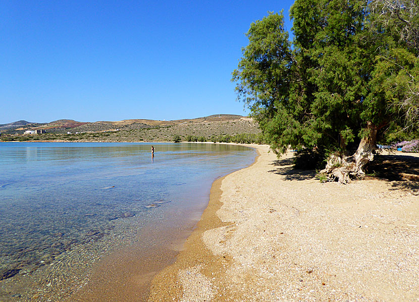 Psaraliki beach 2 på Antiparos.