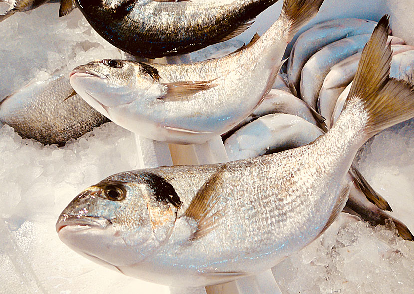 I regel är det färsk fisk som saluförs saluhallen.