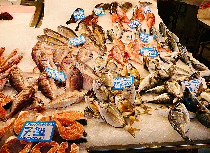 På fiskmarknaden säljs fiskar man aldrig ser på grekiska restauranger. 
