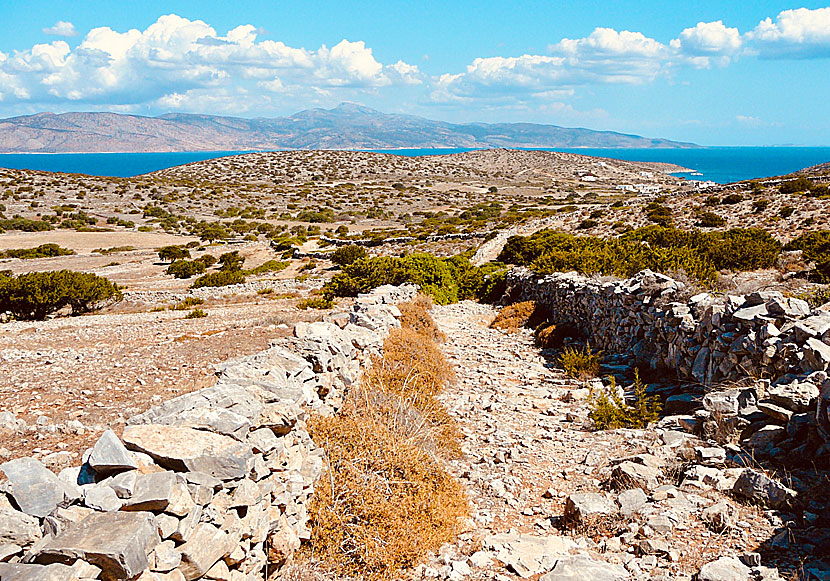 På vandring till Panagia från hamnbyn Agios Georgios på Iraklia.