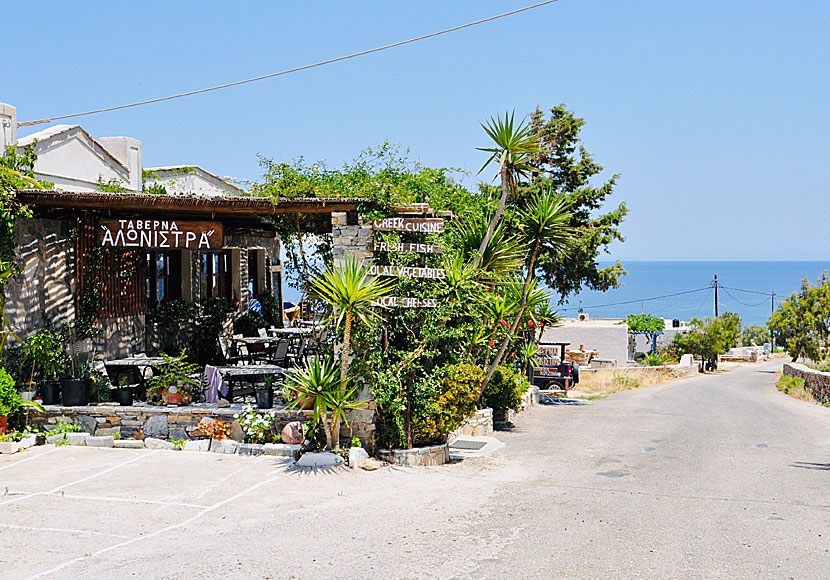 Taverna Alonistra i Psathi på Ios i Grekland-.