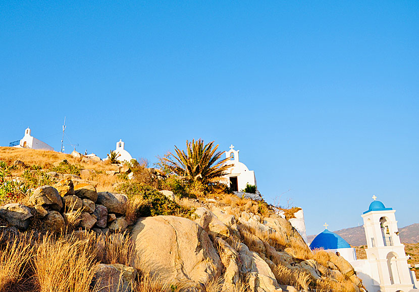 Finns det 365 kyrkor, en kyrka för varje dag, på ön Ios i Grekland?