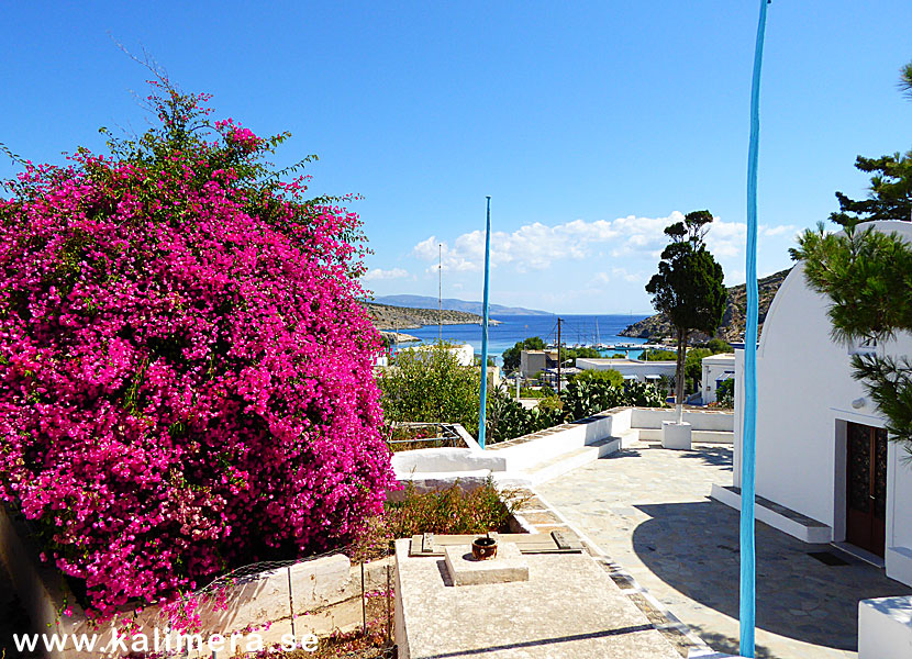 Blommor och kyrka i Agios Georgios på Iraklia.