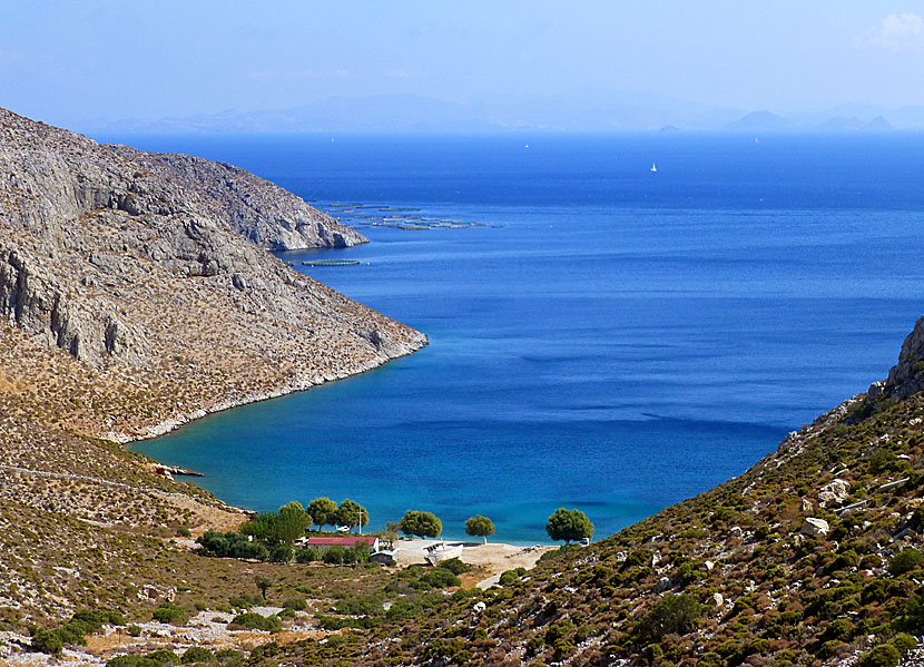 Akti beach på Kalymnos.