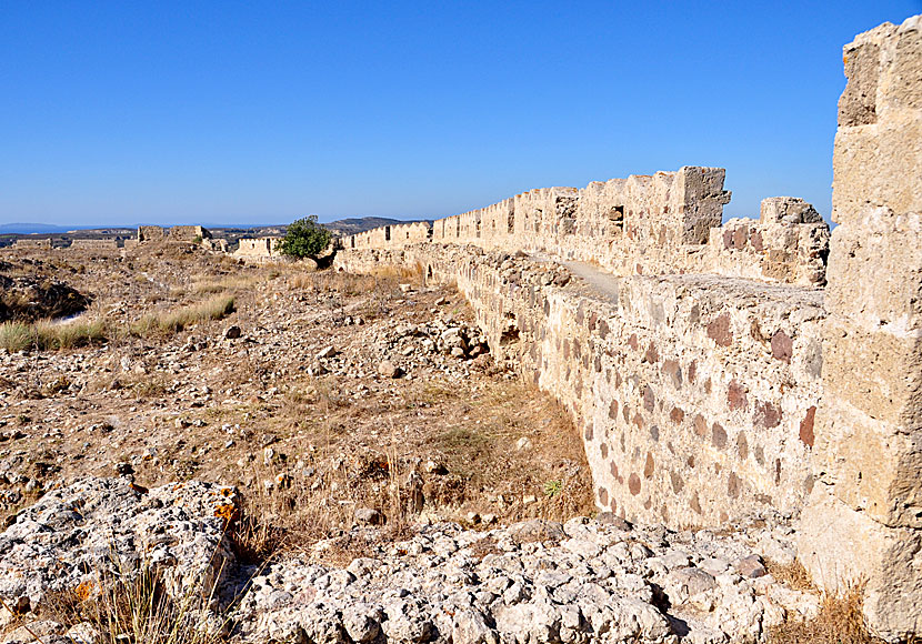 Antimachia Castle på Kos är en av de största borgarna och fästningarna som finns i Grekland.