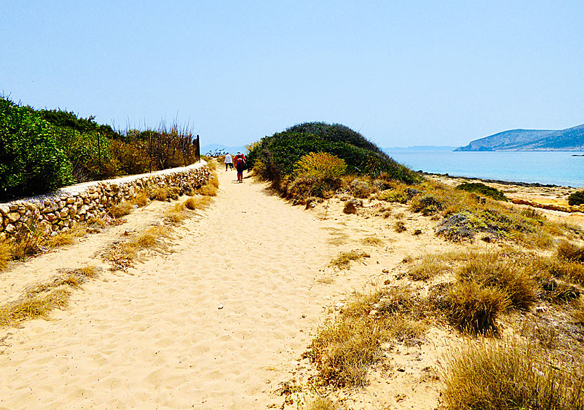Vandra mellan de fina sandstränderna på Koufonissi i Grekland.