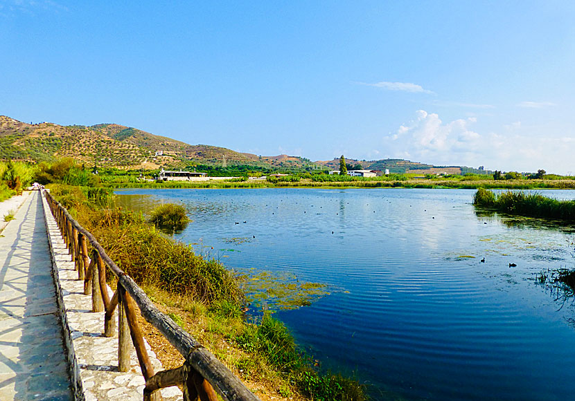 Agia Lake söder om Chania på Kreta.