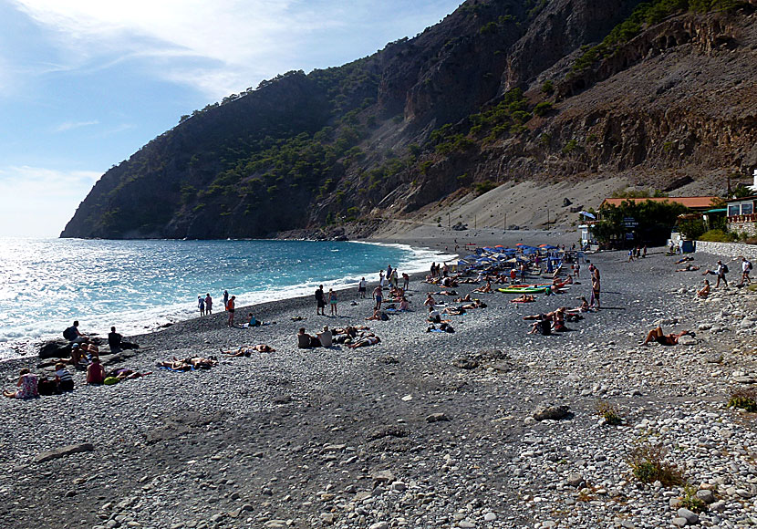 Agia Roumeli beach och taverna.