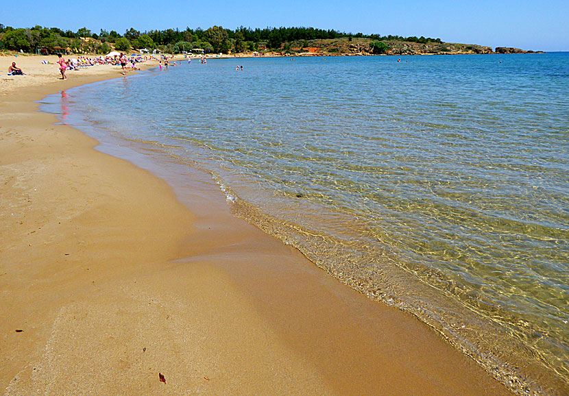 Fina stränder väster om Chania på Kreta.  Chrissi Akti beach.