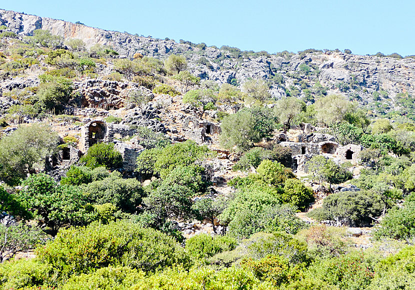 Rester av den antika staden Lissos på Kreta.