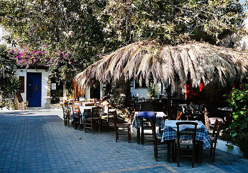 Mysiga restauranger i byn Mirtos på Kreta.