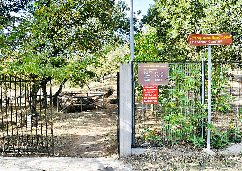 Minoan cemetery of Armeni har öppet tisdag - söndag mellan 08.30-15.00 och det är fritt inträde. 