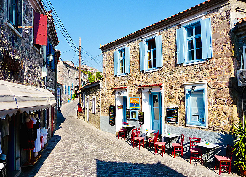 Mollys bar i Molyvos på Lesbos.