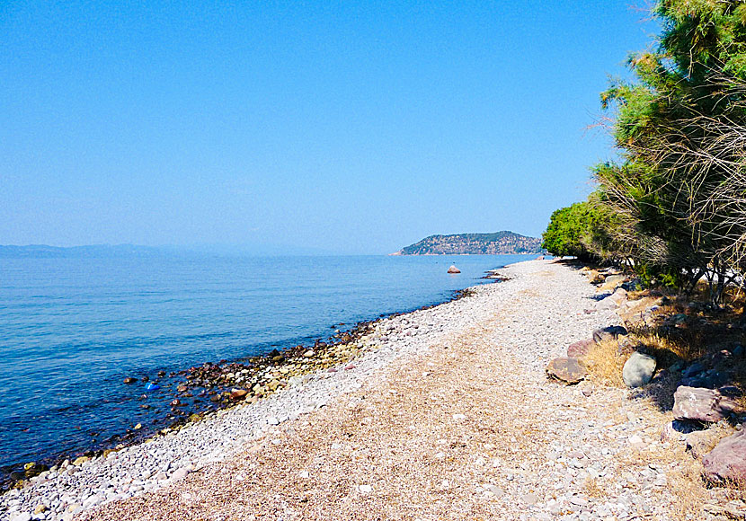 Lesbos bästa stränder. Kagia beach.