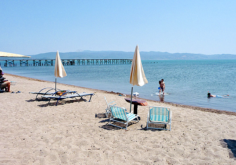 Old Jetty beach ligger väster om Skala Kalonis på Lesbos.