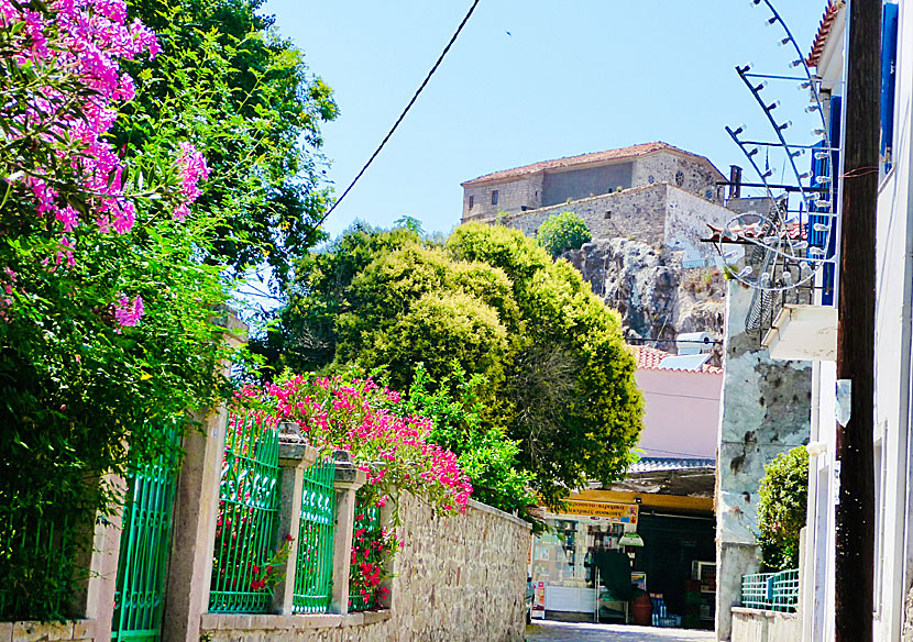 Glykfylousa Panagia church i Petra.