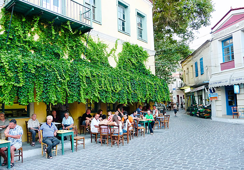 I Plomari på Lesbos finns flera mysiga kaféer, tavernor och restauranger. 