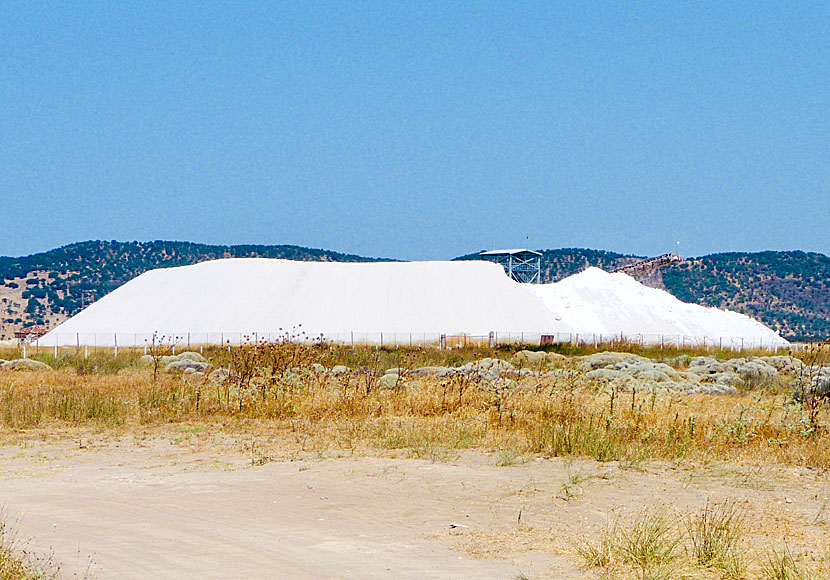 Kalloni Salt Pans vid våtmarken nära Skala Kalloni.