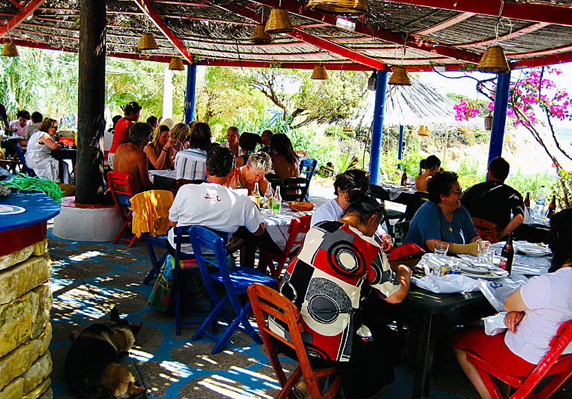 Dilaila Restaurant är en av de bästa tavernorna på Lipsi.