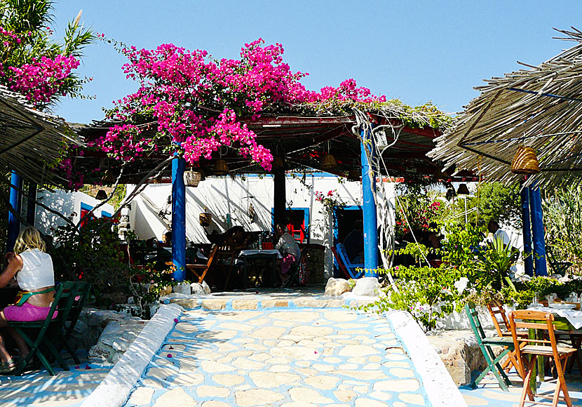 Taverna Dialaila vid Katsadia beach på Lipsi.