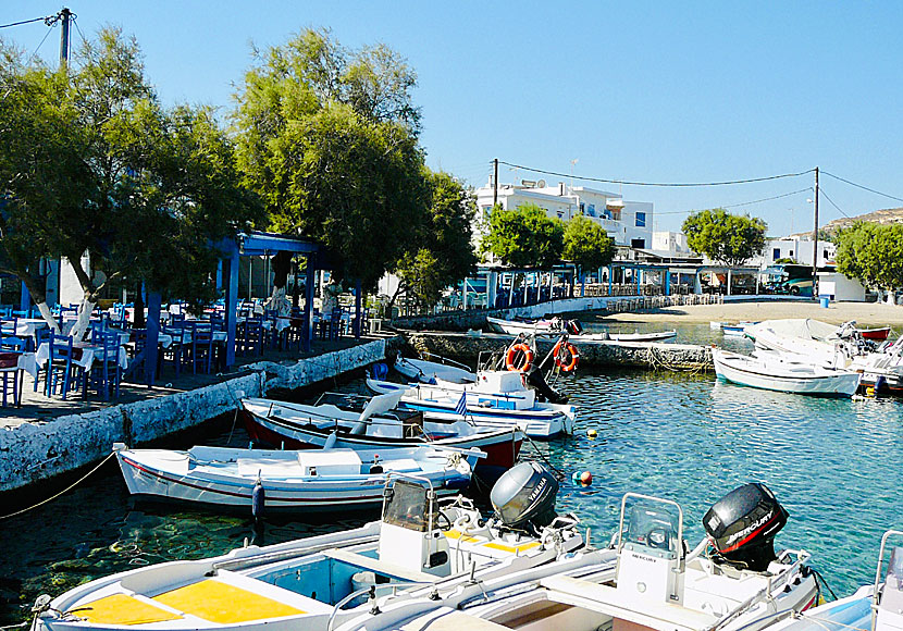 Bra restauranger och tavernor längs hamnpromenaden i Pollonia på Milos.