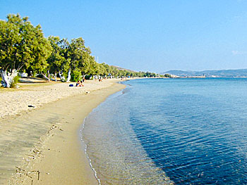 Papikinou beach på Milos.