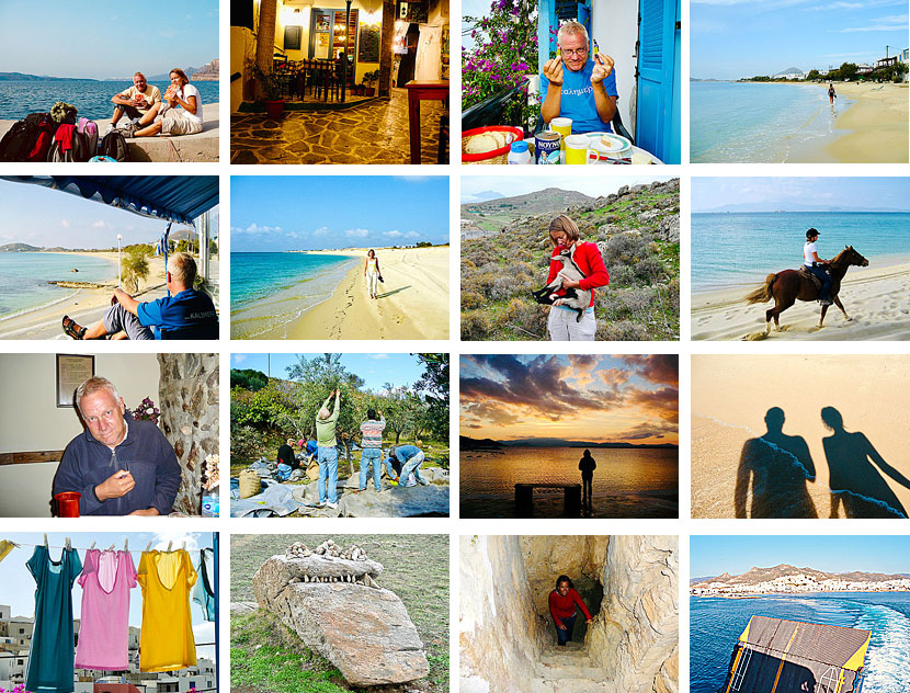 Arton underbara dagar på Naxos i november.